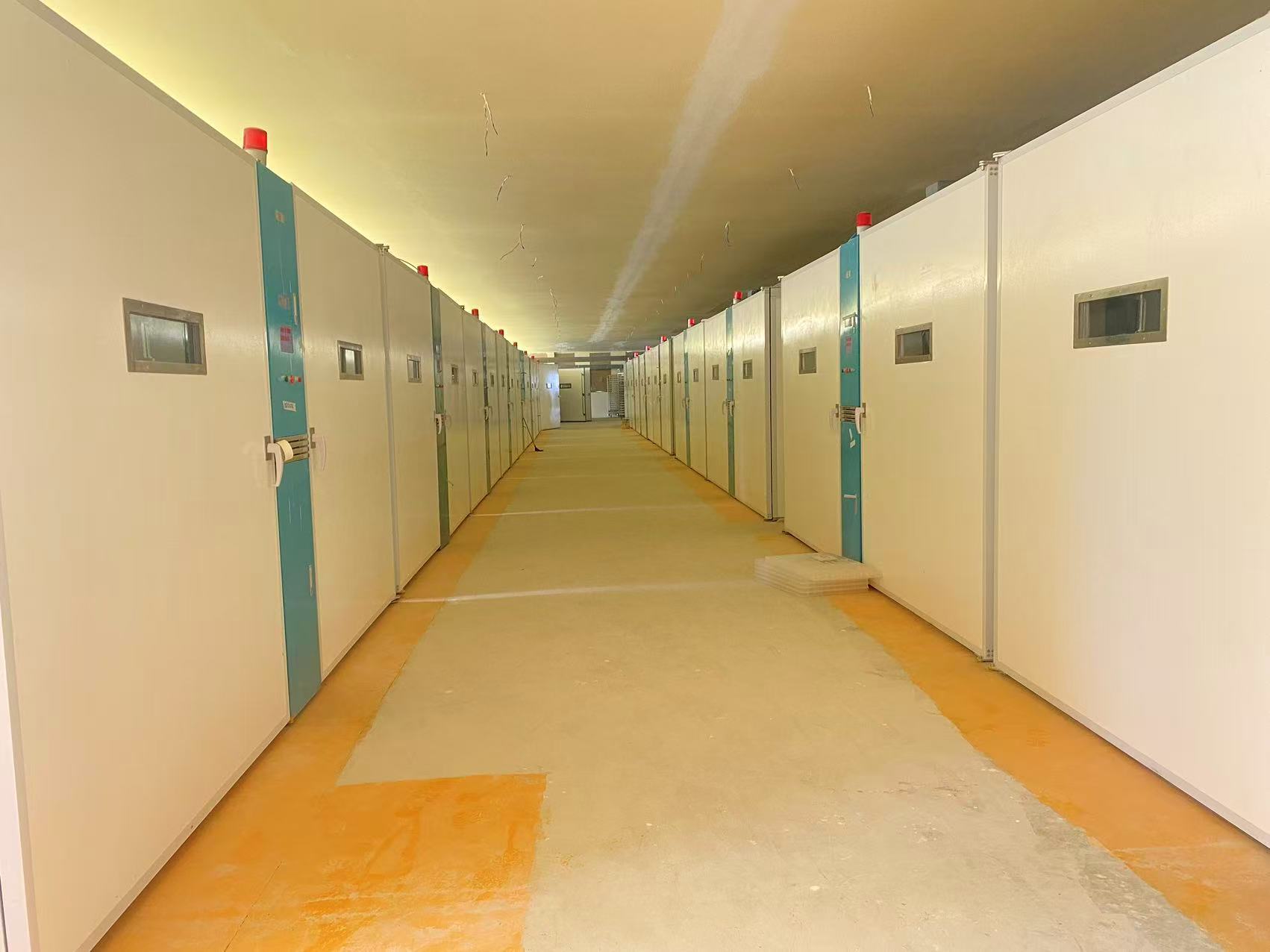 Şirketin en son blog yazıları Kenyalı Kuluçkahaneler, 20 Tek Aşamalı Kuluçka Makinesi ile Sürekli Tedarik ve Yerel Desteğe Öncelik Veriyor