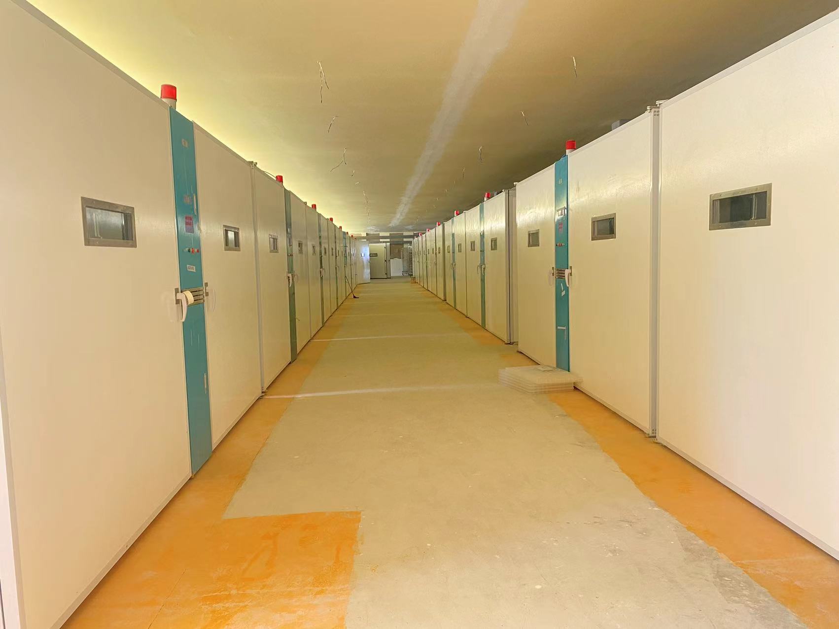 Şirketin en son blog yazıları Durable Poultry Solutions: Why African Hatcheries are Switching to Stainless Steel & Fiberglass ELT-57600S