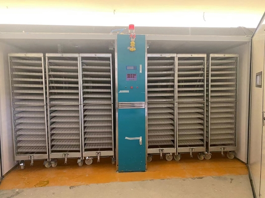 satın al Paslanmaz Çelik Tek Kademeli İnkübatör 1000W Güç online manufacture