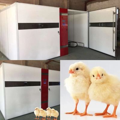 satın al ±%3 RH Nem Doğruluğuna Sahip Endüstriyel 1000W Yumurta Kuluçka İnkübatörleri online manufacture