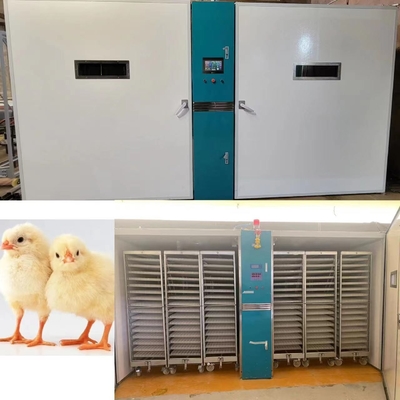 satın al ±%3 Bağıl Nem Doğruluğuna Sahip 220V/50Hz Tavuk Kuluçka Makinesi online manufacture