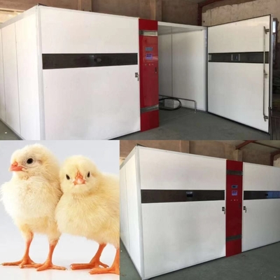 satın al LED Dijital Ekran Tavuk Kuluçka Makinesi 50kg online manufacture