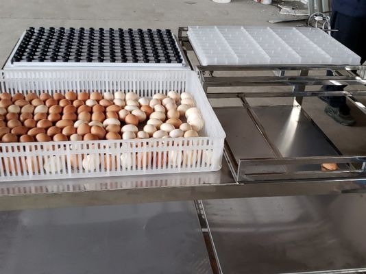 satın al Transfer Ticari Otomatik Yumurta Mumluk Masa Ekipman Makinesi online manufacture
