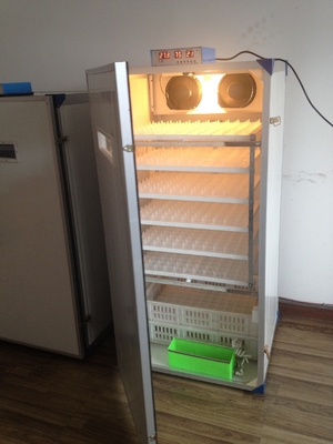 satın al Tavuk Yumurtaları İçin 300 Kaplumbağa Küçük Kümes Hayvanları Kuluçka Makinesi online manufacture