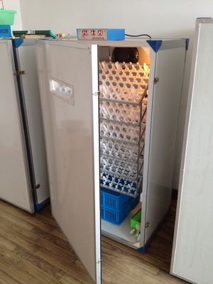 satın al Otomatik Kanatlı Yumurta Kuluçka Makinesi Kuluçka Makinesi 600 Yumurta Kuluçka Makinesi online manufacture