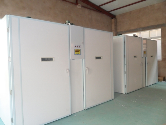 satın al 63648 Otomatik Tek Kademeli Kuluçka Kuluçka Combo Kümes Hayvanları Kuluçka Makinesi online manufacture