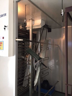 satın al 6000 Dijital Yumurta Kuluçka Kümes Hayvanları Tavuk Kuluçka Ekipmanı Makinesi online manufacture