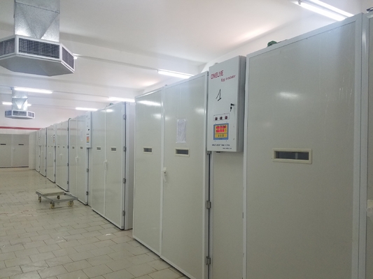 satın al 20000 Kuluçka Tavuk Yumurtası Çıkım Makinesi online manufacture