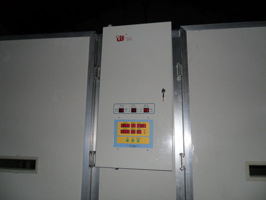 satın al Ss Kuş Yumurtaları İçin Tek Aşamalı İnkübatör 10000 Kapasiteli Yumurta İnkübatörü online manufacture