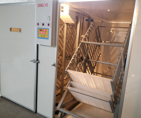 satın al Büyük Kapasiteli Ticari Yumurta İnkübatörü 10000 Yumurta Sülün Papağan Yumurta Kuluçka online manufacture