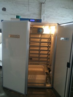 satın al Dijital Yumurta Çıkarma Kuluçka Makinesi 7956 Bıldırcın Yumurtası Çıkım Makinesi online manufacture