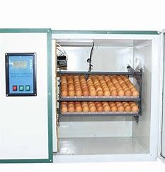 satın al 90 Derece 336 Güvercin Kümes Hayvanları Yumurta Kuluçka Kuluçka Makinesi Akıllı Kontrol online manufacture