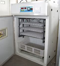 satın al 200 ADET Jumbo Kümes Hayvanları Yumurta Kuluçka Makinesi Ekstrüde Bölümler online manufacture