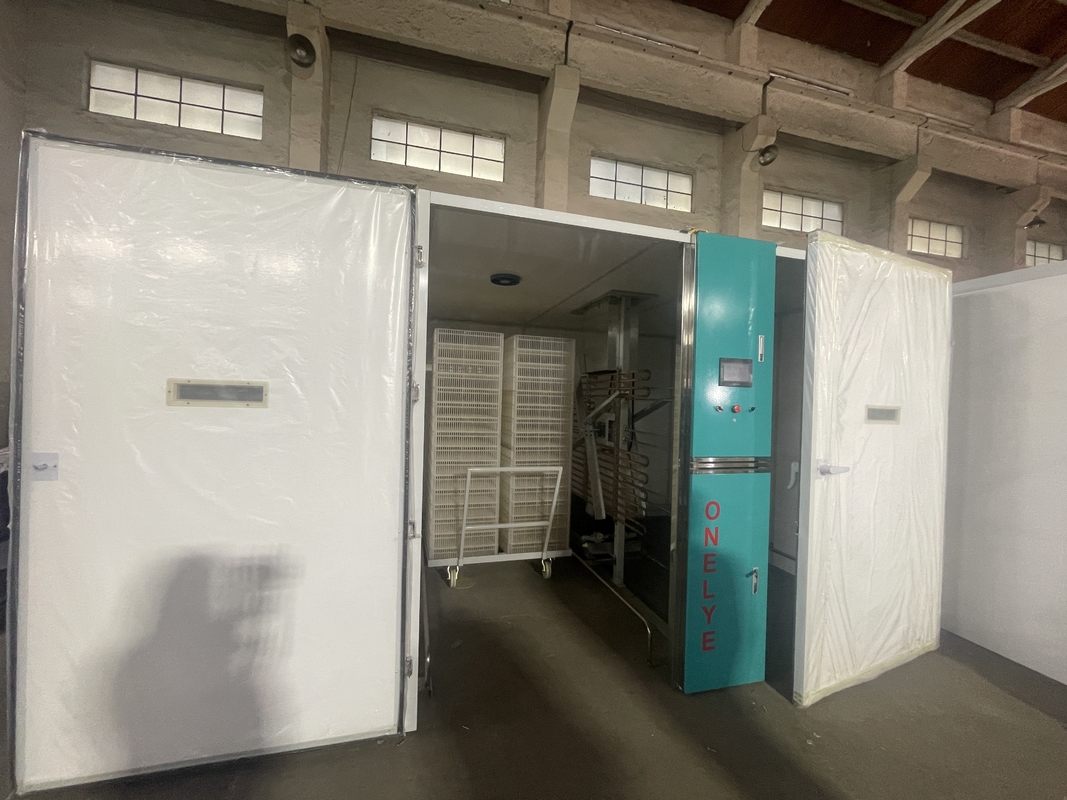 ±1°C Temperature Uniformity Large Eggs Incubator with Performance